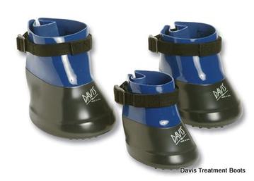Davis horse hotsell boots