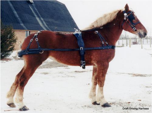 Driving tack 2024