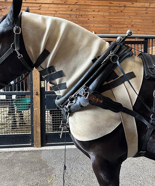 Neck Sweat - Draft Size - Shipshewana Harness & Supplies